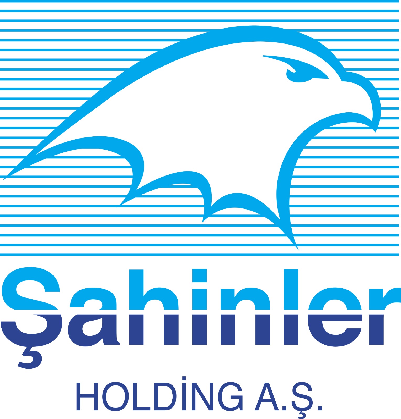Şahinler holding ne iş yapar? - Kapak Görseli